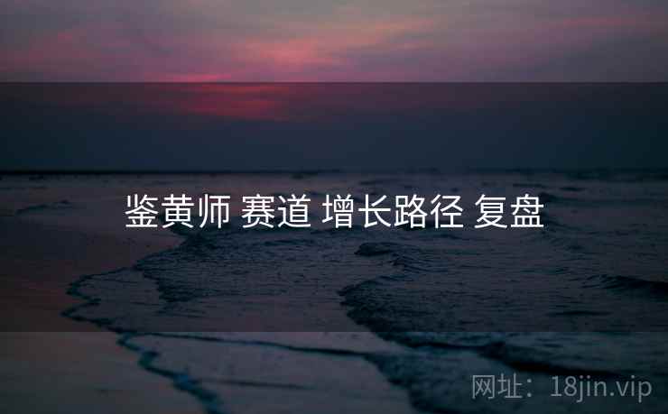 鉴黄师 赛道 增长路径 复盘