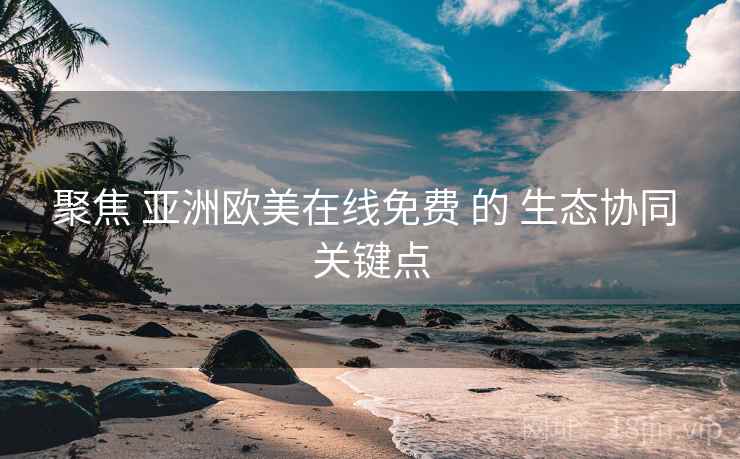 聚焦 亚洲欧美在线免费 的 生态协同 关键点 聚焦 亚洲欧美在线免费 的 生态协同 关键点
