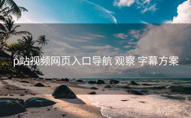 p站视频网页入口导航 观察 字幕方案