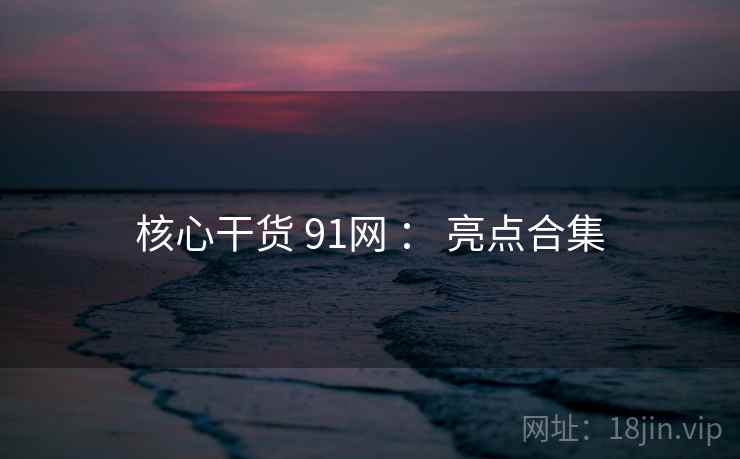 核心干货 91网 ： 亮点合集